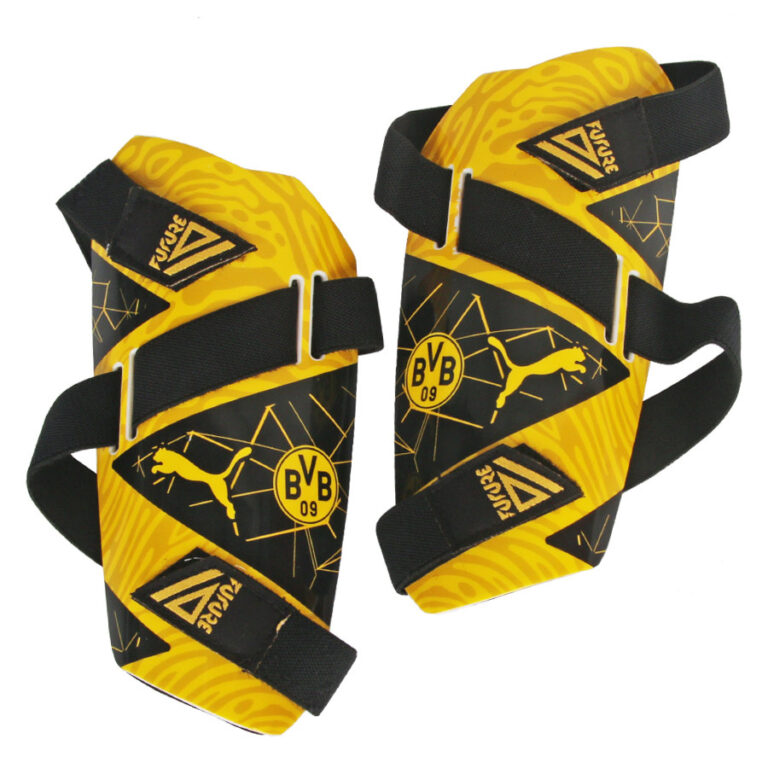 Borussia Dortmund Puma Nagolenniki Future 5 201 (2022)